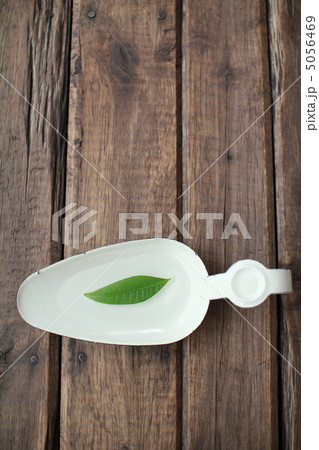 ホウロウトレーの上に浮かぶパキラの葉　フラワーベース 5056469