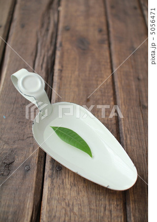 ホウロウトレーの上に浮かぶパキラの葉　フラワーベース 5056471