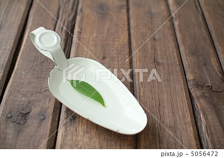 ホウロウトレーの上に浮かぶパキラの葉　フラワーベース 5056472