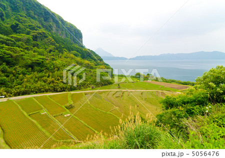鹿児島 指宿 新永吉の棚田 全景 池田湖 鹿児島 指宿 新永吉の棚田 全景 池田湖 5056476