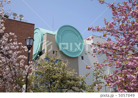 造幣局通り抜けの桜 5057849
