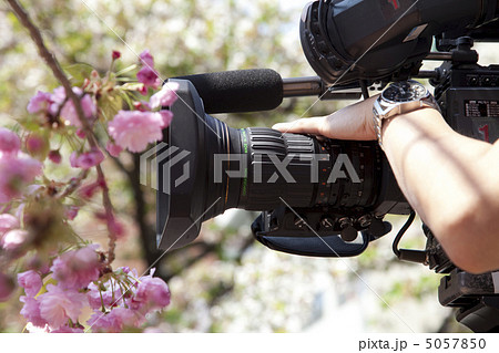 造幣局通り抜けの桜とテレビカメラ 造幣局通り抜けの桜とテレビカメラ 5057850