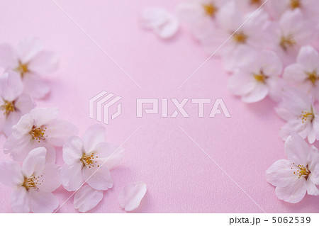 サクライメージ サクライメージ 5062539