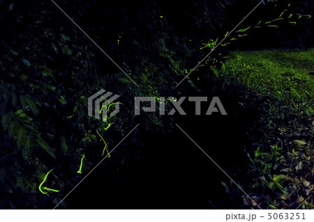 蛍 5063251