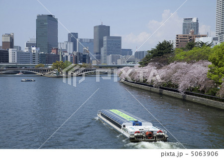 天満橋からの大川と桜 天満橋からの大川と桜 5063906