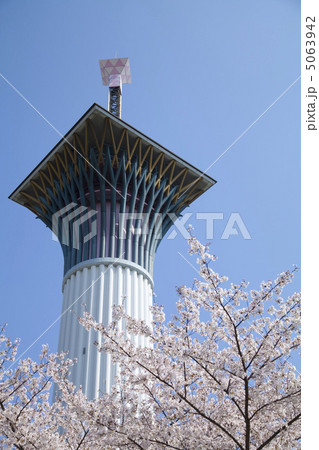 いのちの塔と桜 5063942