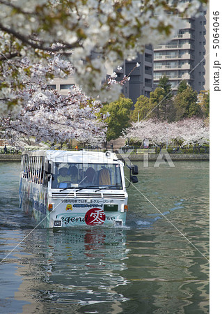 大川のサクラと水陸両用車 大川のサクラと水陸両用車 5064046