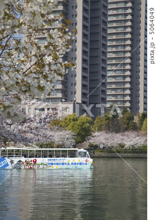 大川のサクラと水陸両用車 大川のサクラと水陸両用車 5064049