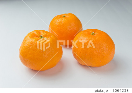 ポンカン ポンカン 5064233