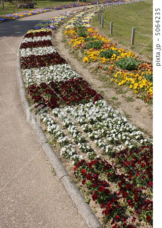 公園の花壇 5064235