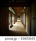 柴又　帝釈天 5065645