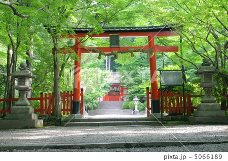 京都　大原野神社　鳥居 5066189