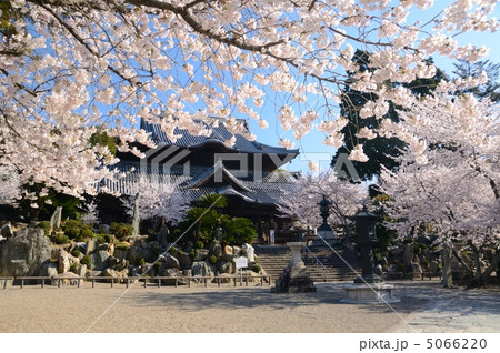 西国第三番札所　粉河寺の本堂と日本庭園 5066220