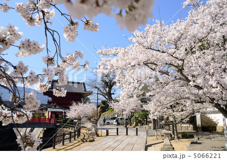 西国第三番札所　粉河寺の大門 5066221