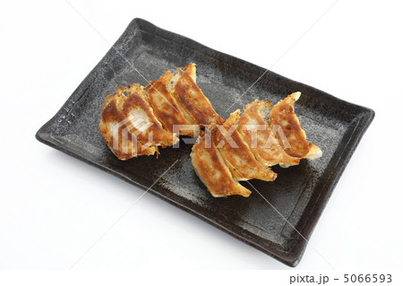 ギョーザ ギョーザ 5066593