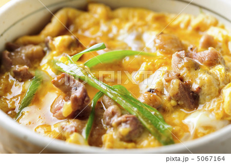 親子丼 5067164