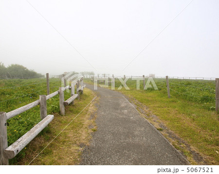 原生花園あやめヶ原 5067521