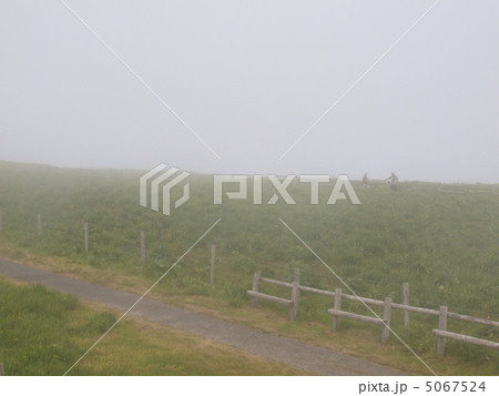 原生花園あやめヶ原 5067524