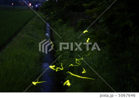 蛍舞う自然環境 5067646