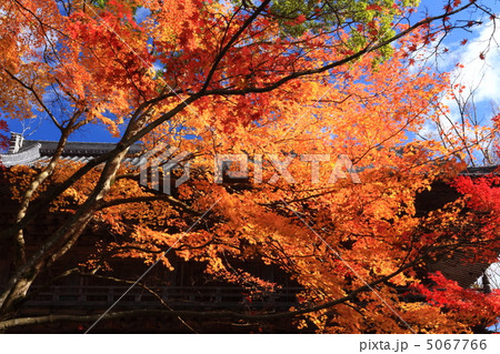滋賀・永源寺の紅葉 5067766
