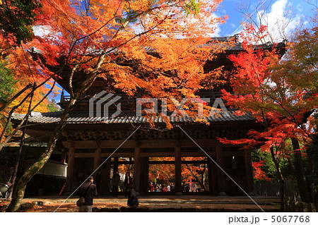 滋賀・永源寺の紅葉 5067768