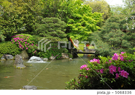 京都　城南宮　室町の庭 5068336