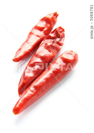 鷹の爪 鷹の爪 5068781