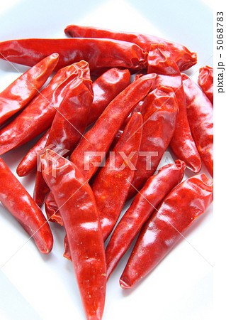 鷹の爪 鷹の爪 5068783