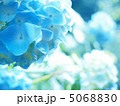 明月院ブルー 5068830