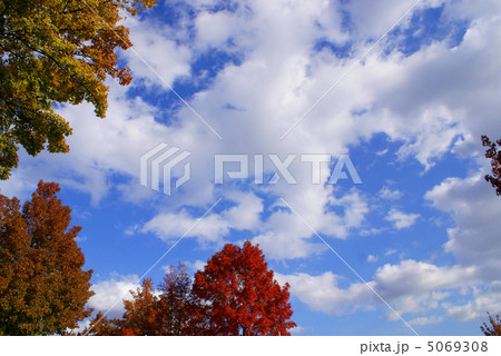 秋の空 5069308