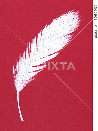 羽根　赤バック 5069930