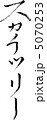 スカイツリー 5070253