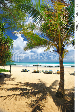 Beach Beach 5071975