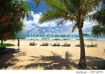 Beach 5071979