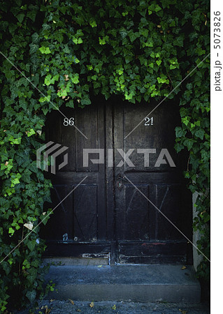 door covered with ivy door covered with ivy 5073826