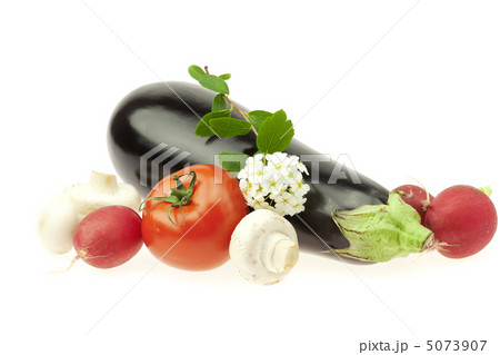 radish eggplant tomato flower and mushrooms isolated on white 5073907