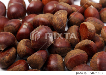 生栗 5074897