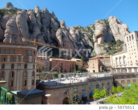 モンセラ 5075011