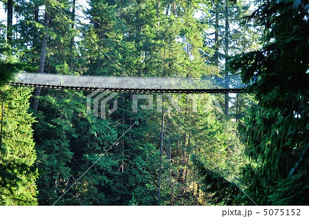 キャピラノサスペンションブリッジ（吊り橋） 5075152