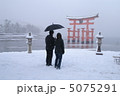 雪の宮島　大鳥居 5075291