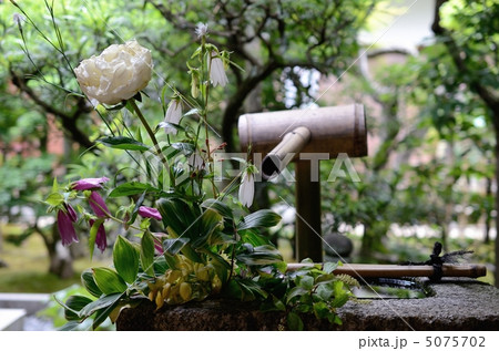 大徳寺、興臨院の手水鉢 5075702