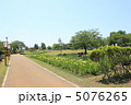 あやめ祭り 5076265