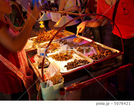 東南アジア　食用虫 5076421