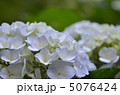 見返りの滝　相知 5076424