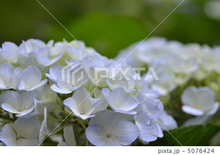 見返りの滝　相知 5076424