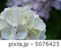 見返りの滝　相知 5076425