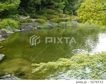白鳥庭園 白鳥庭園 5076553