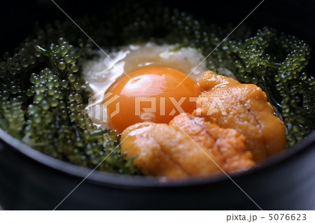 海ぶどう丼 5076623