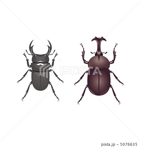 クワガタムシとカブトムシ 5076635