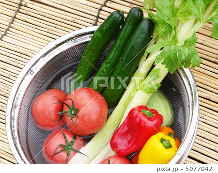 夏野菜 5077042
